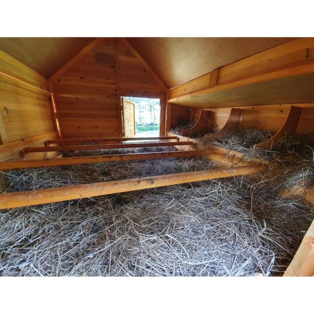 Grand poulailler Bassette XXL 15 à 18 poules toit vert