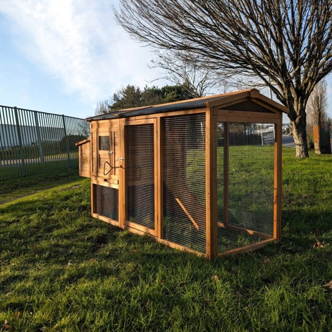 Poulailler Toit Renforcé M toit plastique 6 à 8 poules