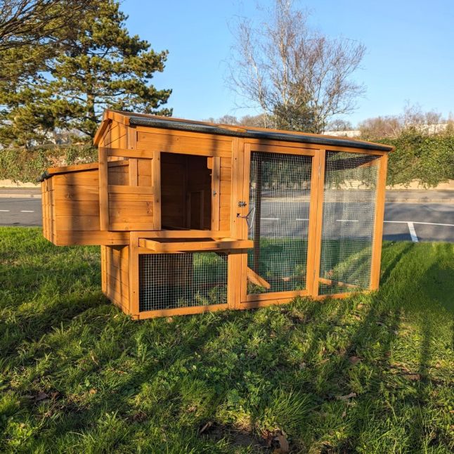 Poulailler Toit Renforcé M toit plastique 6 à 8 poules