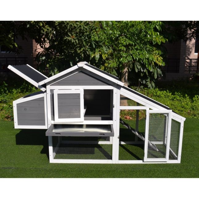Poulailler Toit Plastique 2 à 4 poules toit plastique ondulé