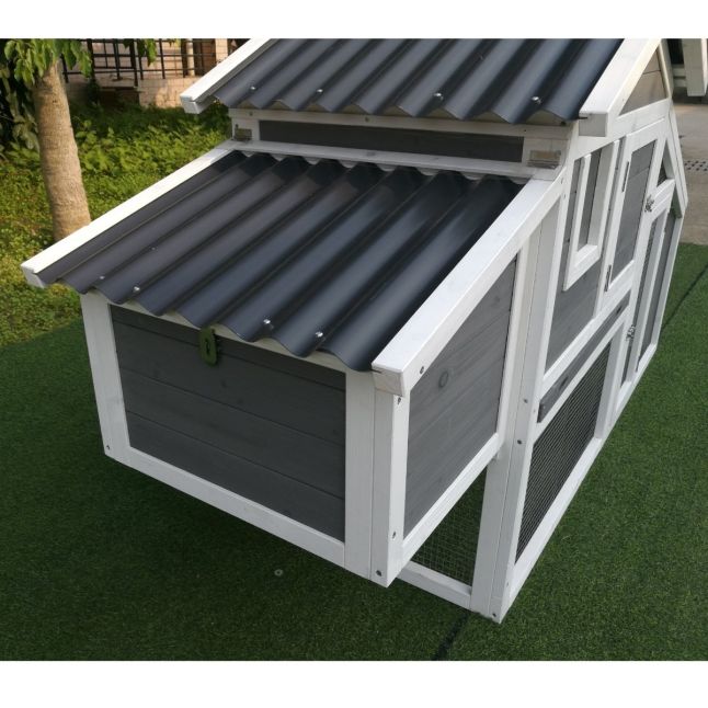 Poulailler Toit Plastique 2 à 4 poules toit plastique ondulé